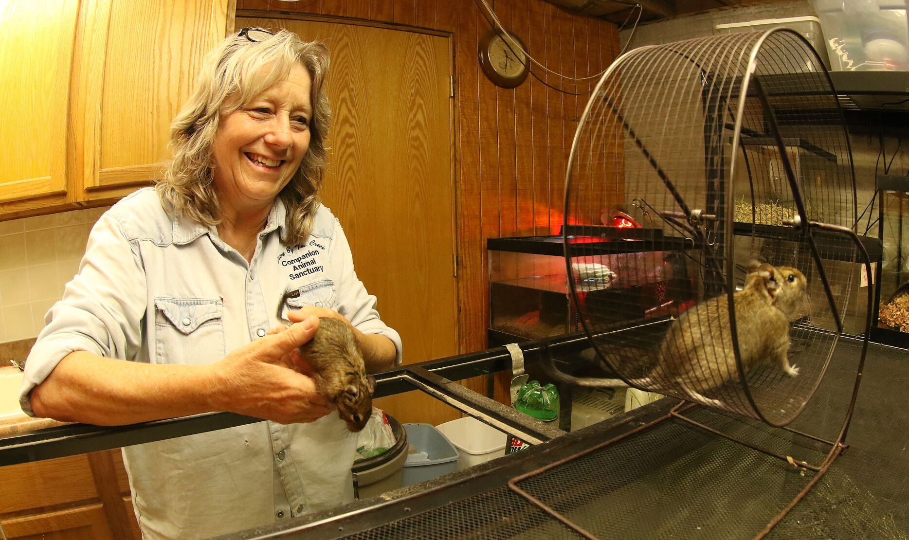 060518-qct-animal-sanctuary-001